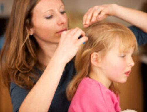 All About Head Lice